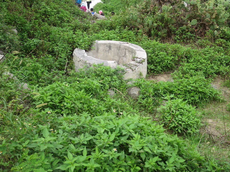 金色雙島.虎井桶盤跳島遊