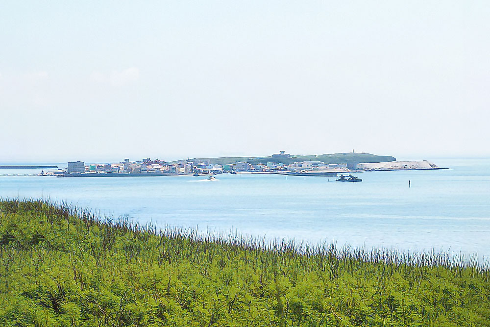 D貝貝海牧之旅.玩水
