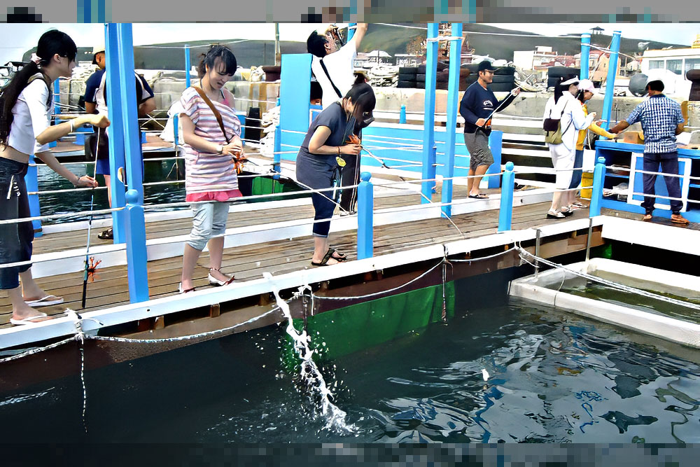 C貝貝海牧之旅.不玩水