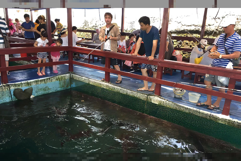 C貝貝海牧之旅.不玩水